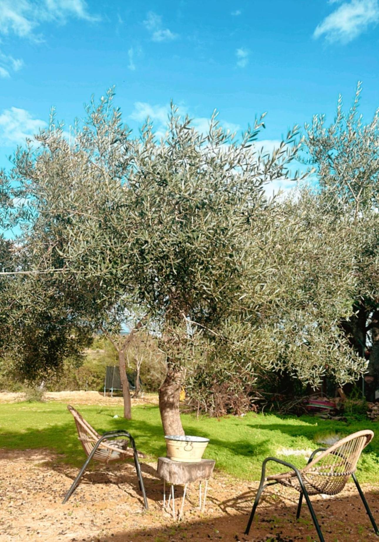 La Quinta Da Liberdade - Ferme De Charme En Algarve Villa Pechão Exterior photo